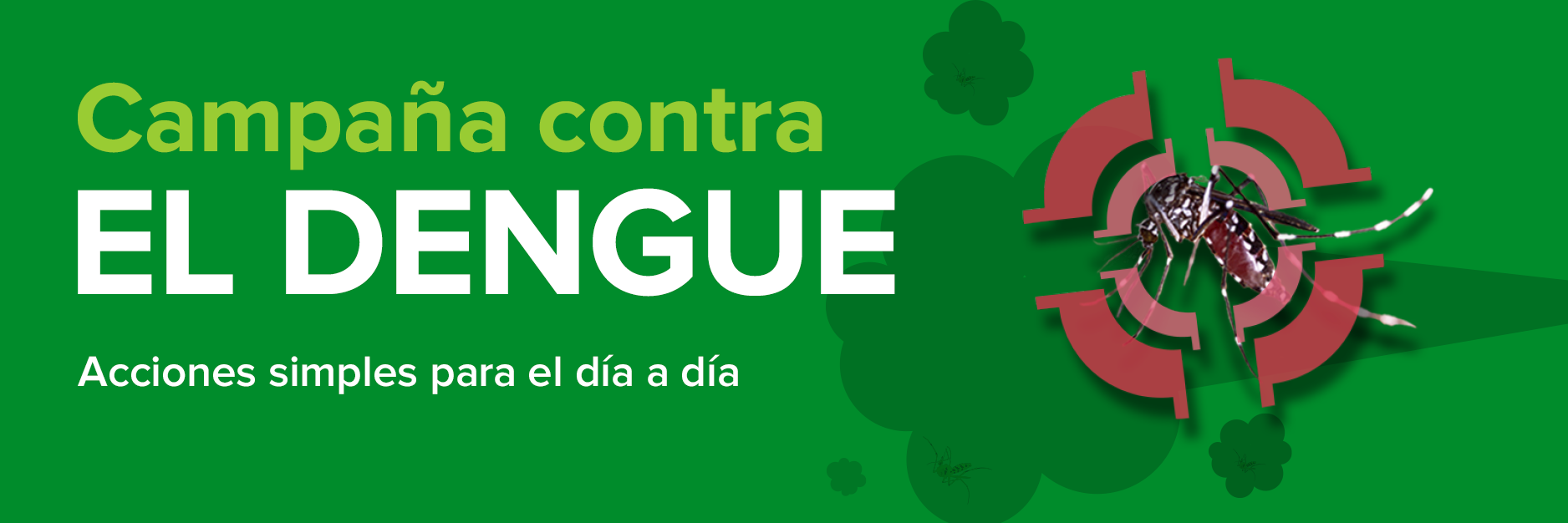 1.3 Campaña contra el dengue 
